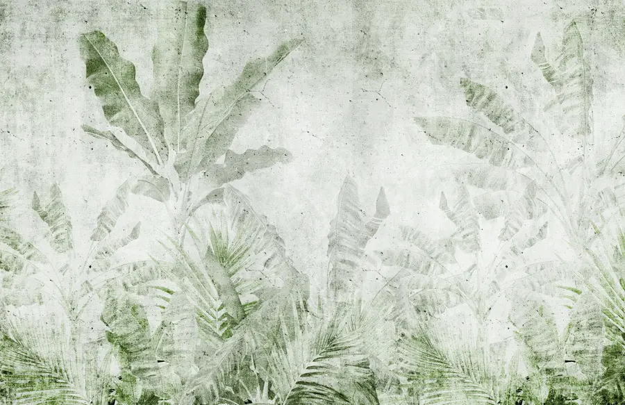 wall murals Banana leaves on a concrete wall u73886v3