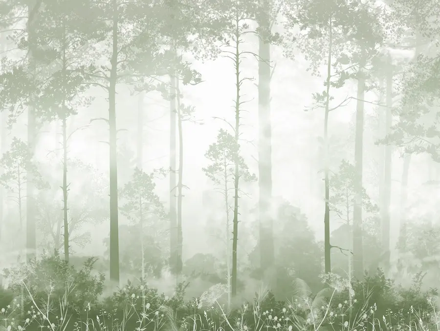 wall murals The forest in the fog u94439v2