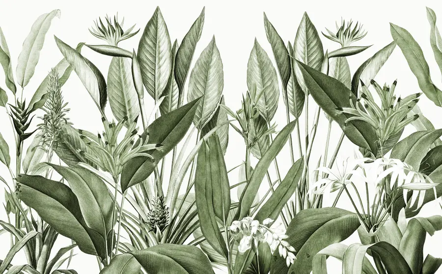 wall murals Tropical plants jungle green colour u96833v2