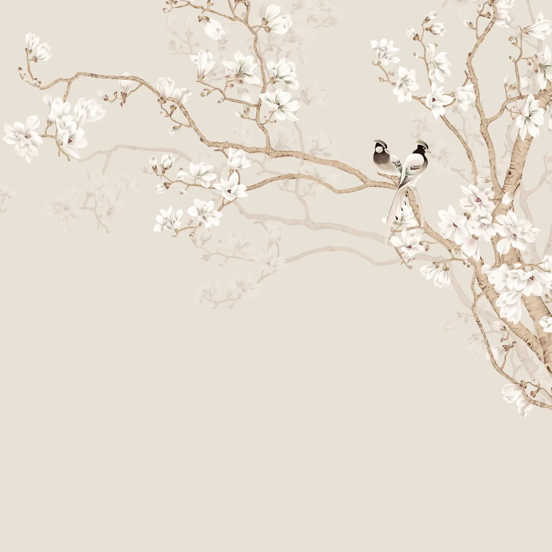 wall murals Magnolia tree in the garden u25842d1