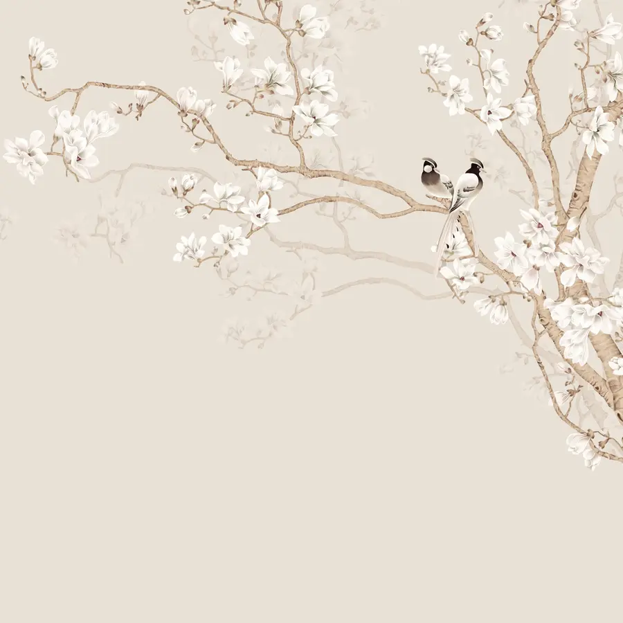 wall murals Magnolia tree in the garden u25842d1